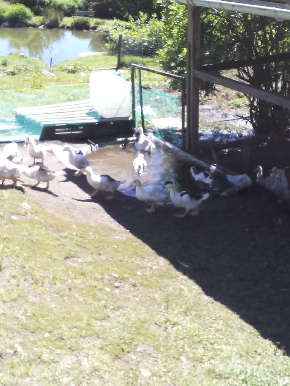 Ferme Auberge A La Colline Ferdrupt Buitenkant foto