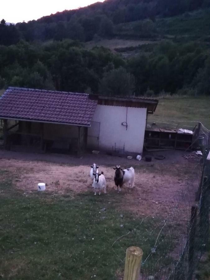 Ferme Auberge A La Colline Ferdrupt Buitenkant foto
